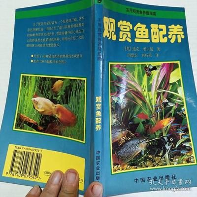 广州适合养什么观赏鱼种类：广州适合养什么观赏鱼 鱼缸风水 第4张