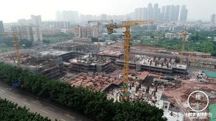 广州芳村花鸟市场搬迁去哪了：广州芳村花鸟鱼虫市场已经搬迁到荔湾区芳村花鸟鱼虫市场 广州水族批发市场 第4张