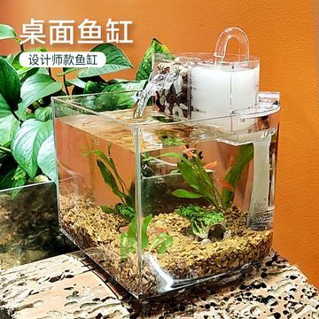 家里能养鱼缸吗 鱼缸风水 第2张