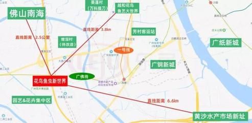 芳村花鸟鱼虫市场地铁哪个出口：广州芳村花鸟鱼虫市场正在进行搬迁原市场商户搬迁 广州水族批发市场 第1张