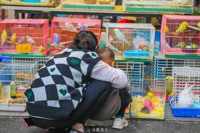 芳村虫鸟花卉市场 广州水族批发市场 第3张