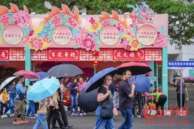 芳村虫鸟花卉市场 广州水族批发市场 第4张