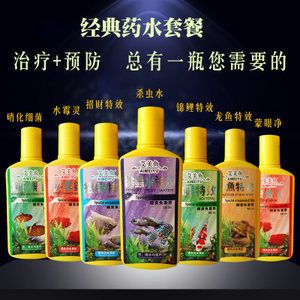 龙鱼白蒙眼给什么药喂：龙鱼白蒙眼怎么治疗