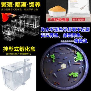 不过滤的鱼缸：不使用过滤器的鱼缸可以养鱼吗？ 鱼缸百科 第3张