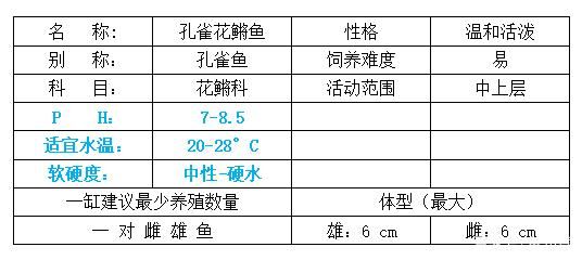 折腾更健康：今天把蓝缸改成白色,麦田里的茶民评论：干净了 观赏鱼论坛 第3张