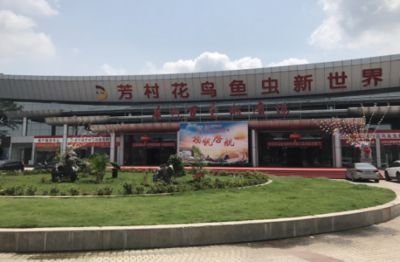 广州百艺城花鸟鱼虫市场还在吗：广州百艺城花鸟鱼虫市场 广州水族批发市场 第4张