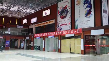 广州百艺城开张了吗现在：国家文化艺术产品交易示范基地——广州百艺城 广州水族批发市场 第4张