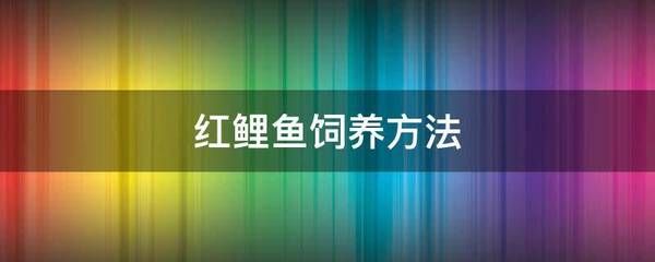 红鲤鱼鱼缸放什么：红鲤鱼怎么养红鲤鱼的饲养方法 鱼缸风水 第3张