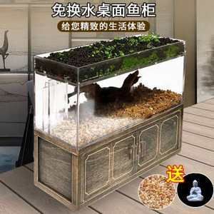 斗鱼缸可以造景吗视频：探索水族造景的世界 鱼缸百科 第4张