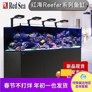 红海鱼缸经销商：红海生态揭秘 广州水族批发市场 第1张