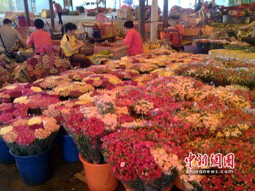 芳村花卉批发市场地铁：广州芳村岭南花卉市场 广州水族批发市场 第1张