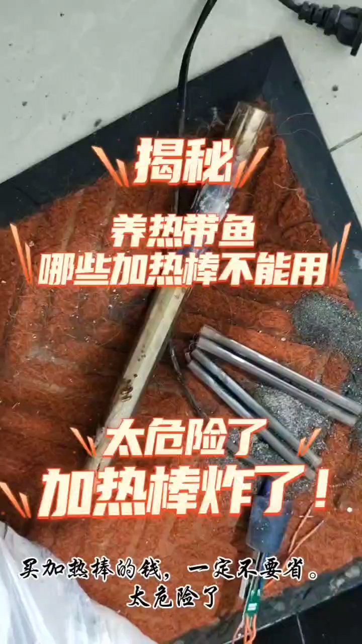 加热棒炸了？这样的加热棒不要用：你们用的什么加热棒 观赏鱼论坛