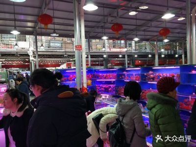 芳村鱼鸟市场搬迁到什么地方：广州芳村花鸟鱼虫市场搬迁 广州水族批发市场 第4张