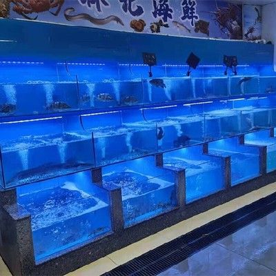 广州买鱼缸去哪里便宜又好看：如何挑选合适的广州鱼缸？ 广州水族批发市场 第4张