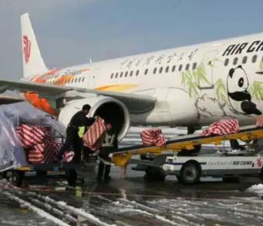 观赏鱼发空运怎么取 广州水族批发市场 第2张