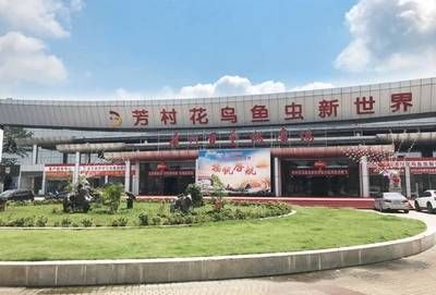 广州百艺城花鸟市场营业时间：8月19日广州百艺城花鸟市场营业时间查询 广州水族批发市场 第4张