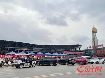 芳村花鸟市场过年开吗：芳村花鸟鱼虫市场在春节期间会开放吗？ 广州水族批发市场 第4张