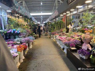 百艺城花鸟市场新世界营业时间：百艺城花鸟市场新世界的具体营业时间 广州水族批发市场 第2张