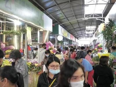 芳村岭南花卉市场地铁哪个站下