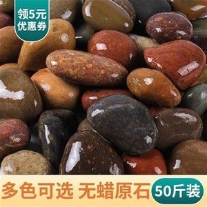 大鹅卵石鱼缸：大鹅卵石在鱼缸中的应用 鱼缸百科 第4张