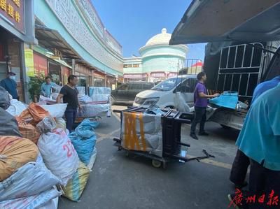 芳村花鸟市场在哪里有接送的：广州花卉博览园探秘芳村花鸟市场 广州水族批发市场 第3张