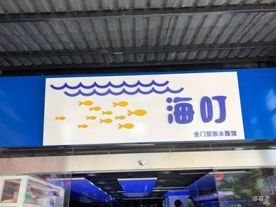 广州买观赏鱼的那家水族点信誉好 广州水族批发市场 第4张