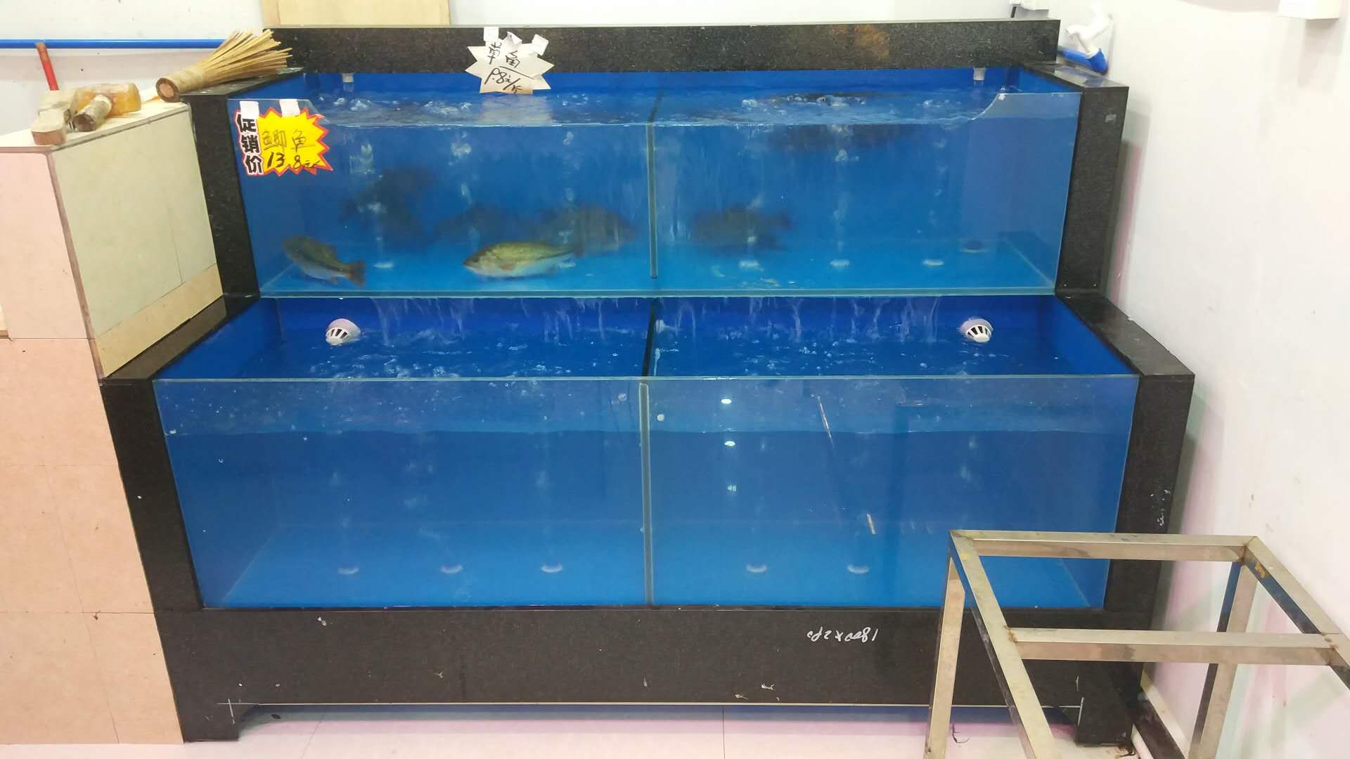 广州买鱼缸去哪里买好一点的：广州水族用品市场分析广州水族用品市场分析广州特色水族馆 广州水族批发市场 第4张