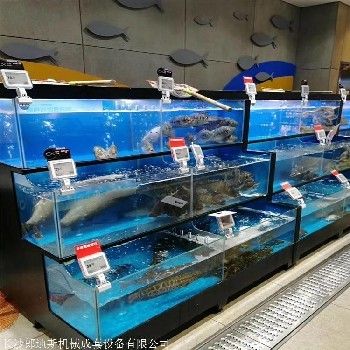 海鲜专用鱼缸品牌排行：如何选择一个适合养鱼的鱼缸