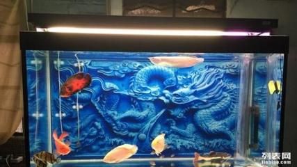 广州鱼缸哪里买最便宜的好点儿 广州水族批发市场 第3张