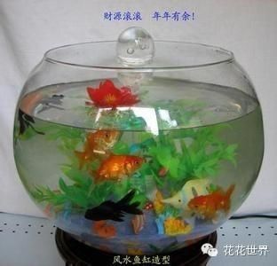 风水学鱼缸养几条鱼好：风水学中养鱼的数量有一定的讲究以下是一些相关的建议 鱼缸风水 第2张