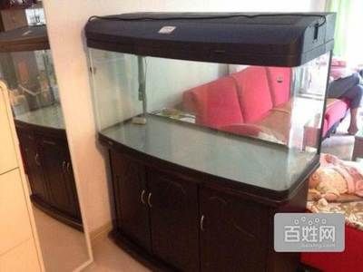 广州鱼缸哪里买最便宜又好的鱼：广州芳村花地湾越和花鸟鱼虫大世界