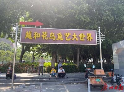 芳村花鸟鱼虫市场坐几路公交车到