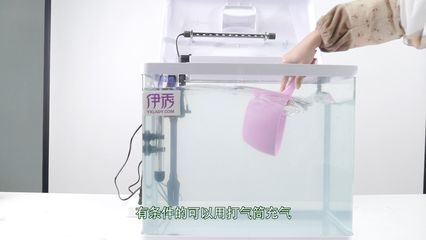 打气筒给鱼缸加氧：使用打气筒给鱼缸加氧可行吗？ 鱼缸百科 第1张