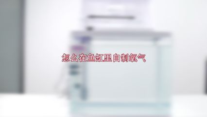 打气筒给鱼缸加氧：使用打气筒给鱼缸加氧可行吗？