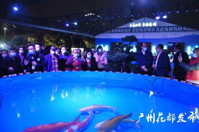 广州观赏鱼2021：广州观赏鱼市场在2021年呈现出多元化、专业化发展趋势