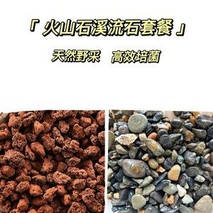 鱼缸养龙鱼放火山石好吗：火山石在龙鱼缸中的作用