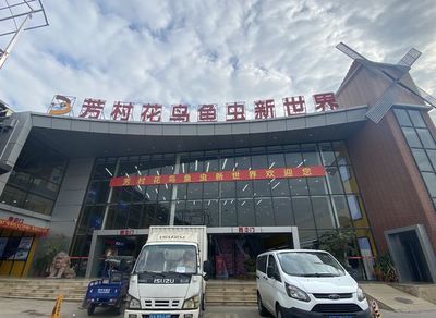 芳村花鸟新世界开了没：芳村花鸟鱼虫市场的历史演变 广州水族批发市场 第3张