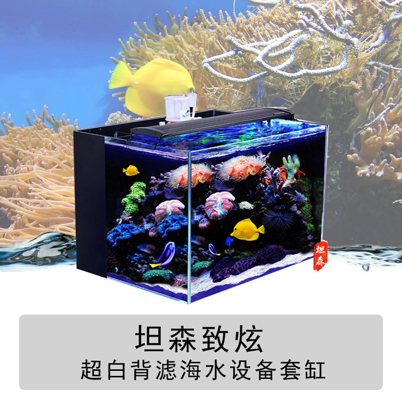 广州鱼缸哪里买最便宜的好用：广州水族用品牌的优势 广州水族批发市场 第4张