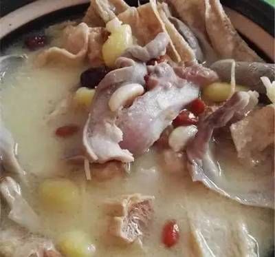 龙鱼能吃鸡肉吗：龙鱼可以吃鸡肉吗 龙鱼百科 第3张