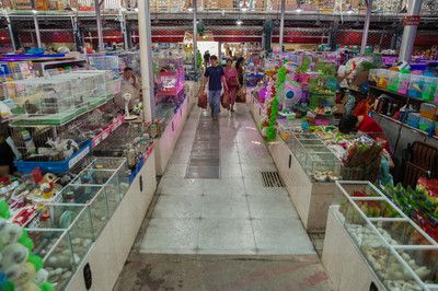 芳村新的鱼鸟市场在什么地方啊：广州芳村花鸟鱼虫市场搬迁至广州荔湾区芳村龙溪大道