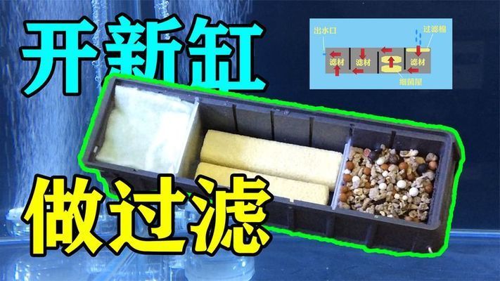 大苏打鱼缸怎么用好看视频：大苏打在养鱼方面的应用
