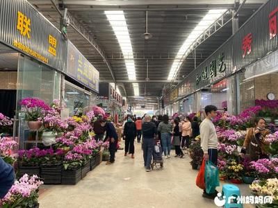 广州百艺城花鸟市场怎么走地铁站：广州百艺城地铁站花鸟市场附近周边哪里有地铁站