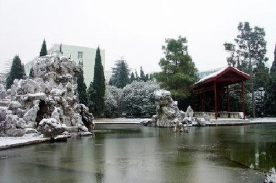 超市淡水鱼鱼缸温度调到多少合适：淡水鱼鱼缸水温调节指南 鱼缸百科 第2张