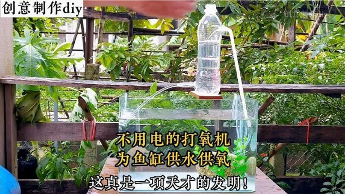 除了打氧机之外,还可以怎样给鱼缸打氧：喷水式增氧机喷水式增氧机喷水式增氧机喷水式增氧方法