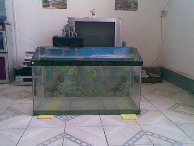 玻璃怎么制作鱼缸：玻璃鱼缸制作方法