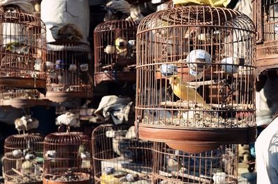 广州最大水族鱼缸批发市场：广州水族鱼缸批发市场是广州最大的水族鱼缸批发市场 广州水族批发市场 第3张