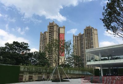 广州芳村花地湾花鸟鱼虫市场搬了吗：广州芳村花地湾花鸟鱼虫市场2020年10月20日撤场 广州水族批发市场 第4张