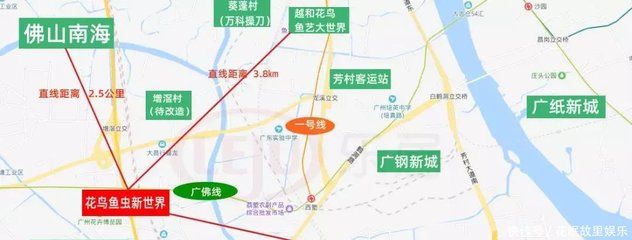 芳村花鸟鱼虫市场地图