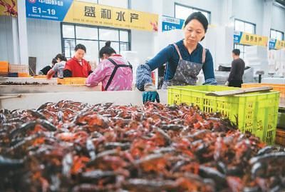 广州最大的鱼缸市场在哪里有买海鲜：广州海河国际水产交易市场如何实施食品安全管理措施 广州水族批发市场 第1张