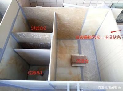 瓷砖可以用来做鱼缸么视频：瓷砖可以用来制作鱼缸吗？